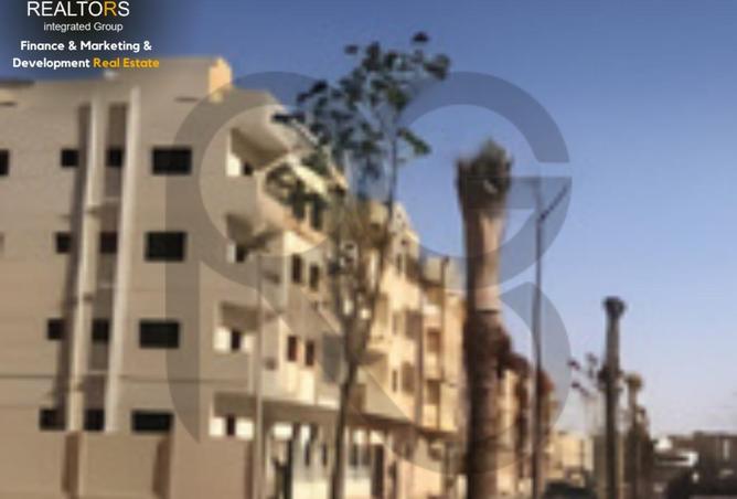 67741037 - Property Image 3