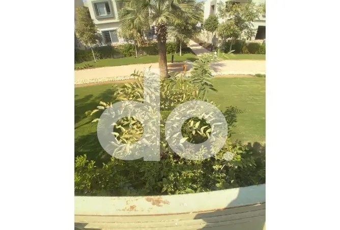 111596259 - Property Image 3