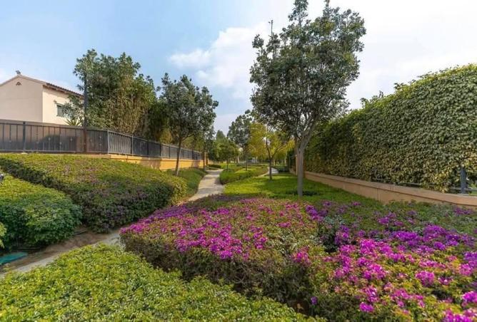 8720828 - Property Image 3