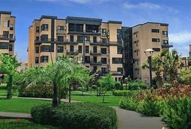 55256571 - Property Image 3