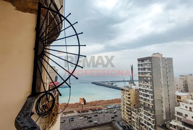 91000247 - صورة العقار 2