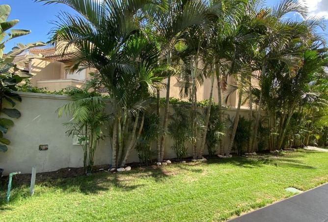 66965093 - صورة العقار 2