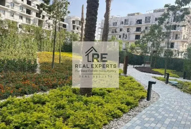 118035698 - Property Image 2