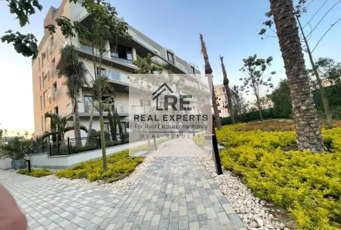 118035698 - Property Image 3