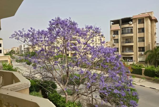 103758434 - Property Main Image
