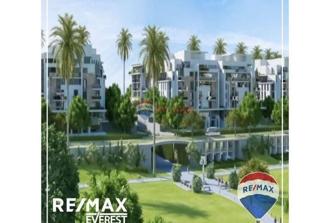 55252787 - Property Image 3