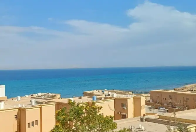 116490673 - صورة العقار 2