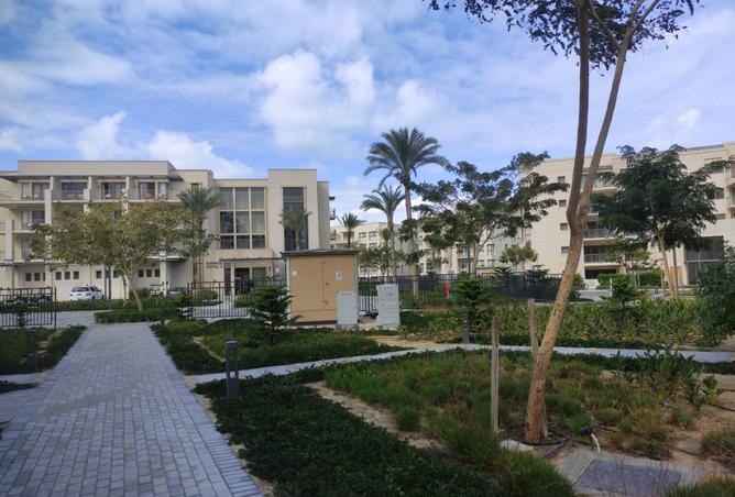 8430586 - الصورة الرئيسية للعقار