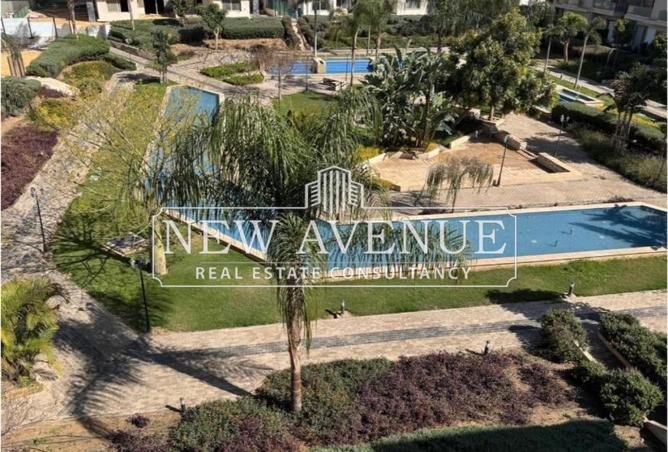 67994928 - Property Image 3