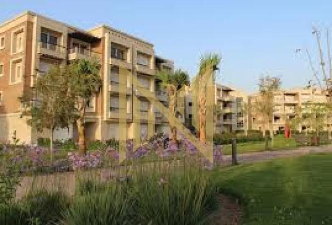 55499356 - صورة العقار 2