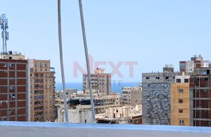 شقة - 3 غرف نوم - 1 حمام للبيع في العصافرة بحري - العصافرة - حي ثان المنتزة - الاسكندرية شقة - 3 غرف نوم - 1 حمام للبيع في العصافرة بحري - العصافرة - حي ثان المنتزة - الاسكندرية
