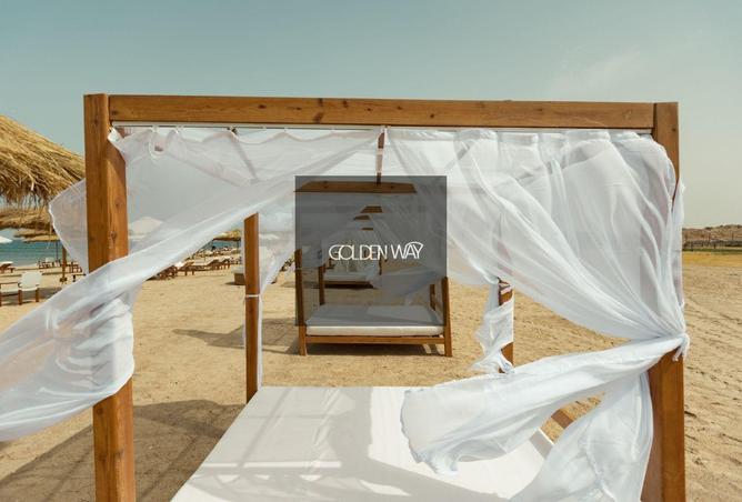 8629343 - Property Image 3