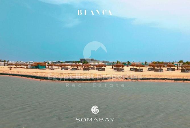 8567580 - Property Image 3