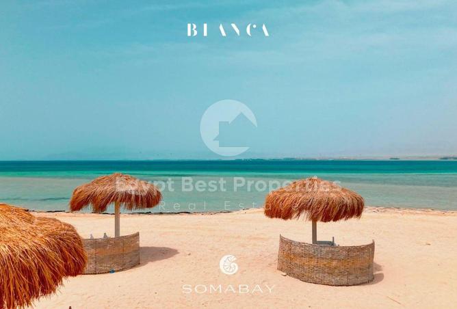 8567580 - Property Image 2