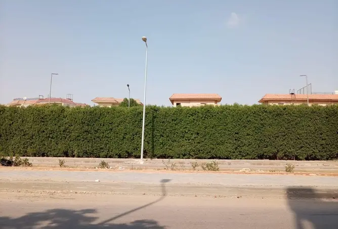 87210801 - صورة العقار 3