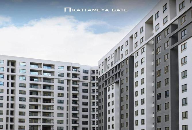 56495206 - Property Main Image