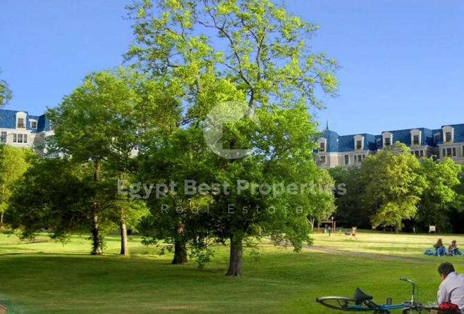 56244735 - Property Image 2