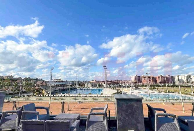 55506735 - صورة العقار 3