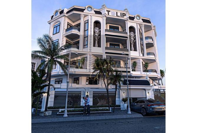 8628969 - Property Image 2