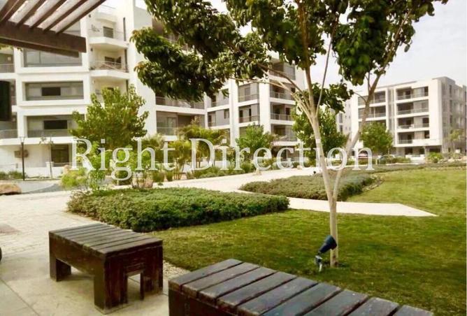 64135612 - صورة العقار 3