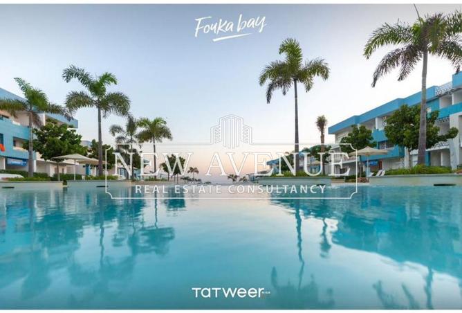 57989405 - Property Image 3