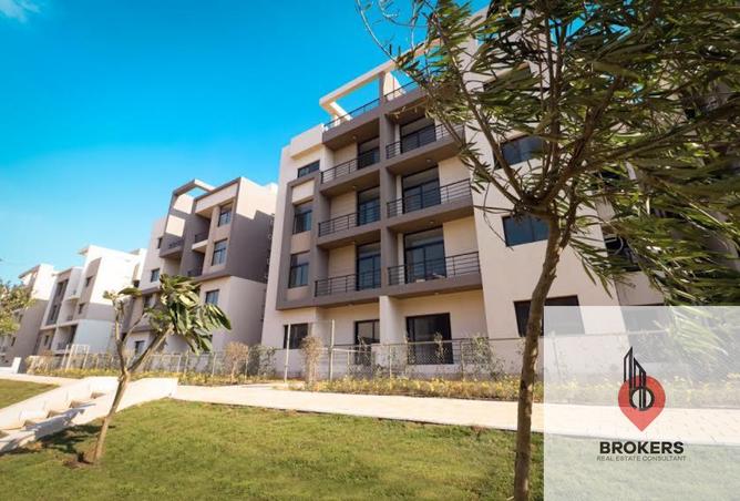 54501314 - Property Image 2