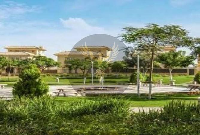 66955511 - صورة العقار 3