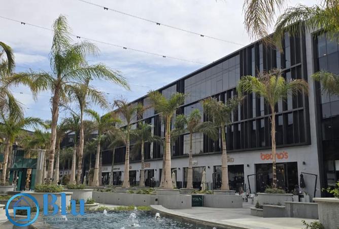 65918808 - صورة العقار 2