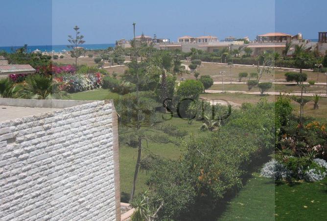 104878556 - الصورة الرئيسية للعقار