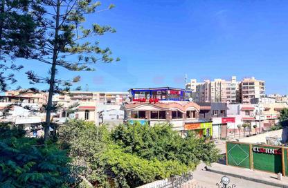Apartment - 3 Bedrooms - 2 Bathrooms for sale in Al Maamoura - Hay Than El Montazah - Alexandria