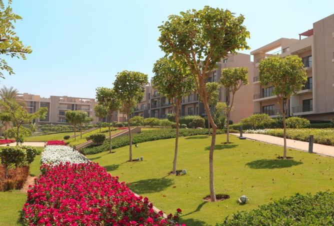 62886624 - الصورة الرئيسية للعقار