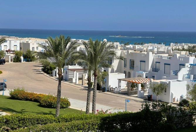 84775347 - صورة العقار 3