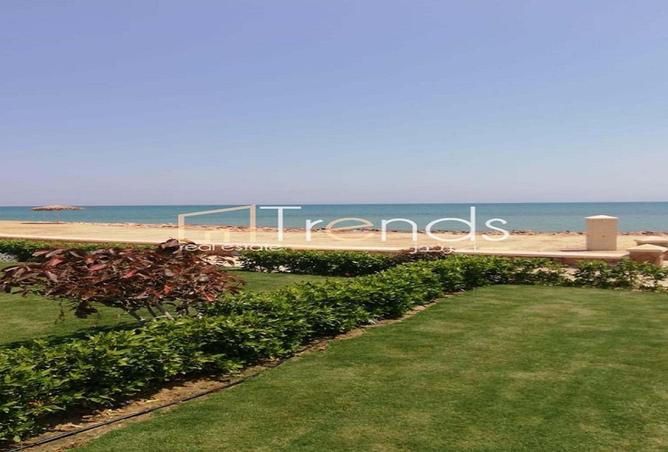 53720922 - صورة العقار 3