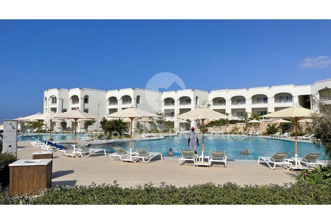 70371831 - Property Image 3