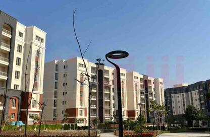 Apartment - 4 Bedrooms - 3 Bathrooms for sale in Alex West - Alexandria Compounds - Alexandria