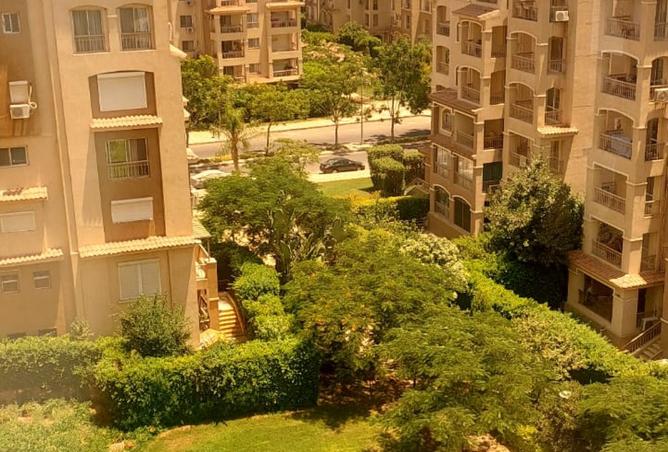 95203415 - صورة العقار 2