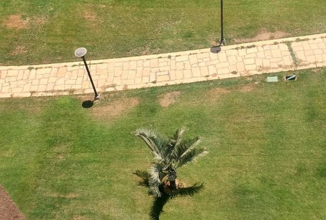 95203415 - صورة العقار 3