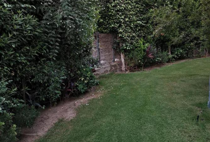 64143435 - صورة العقار 3