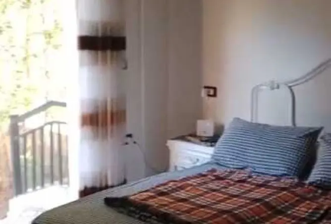 113245653 - صورة العقار 2