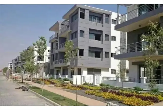 118038339 - Property Image 3