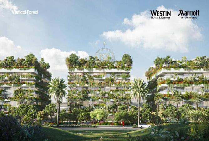 56000123 - صورة العقار 2