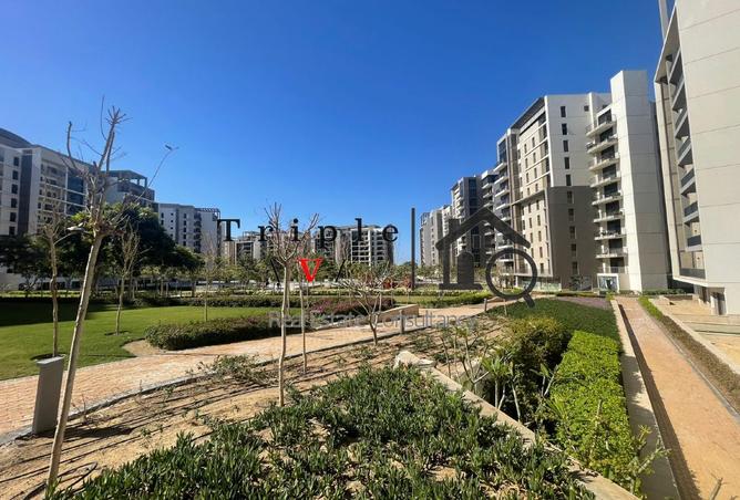 100090052 - صورة العقار 2