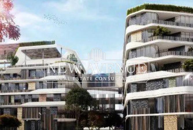 53976254 - Property Image 3