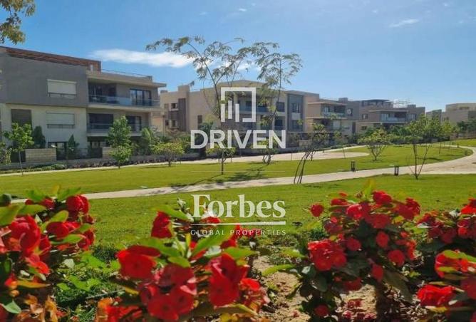 64638784 - صورة العقار 3