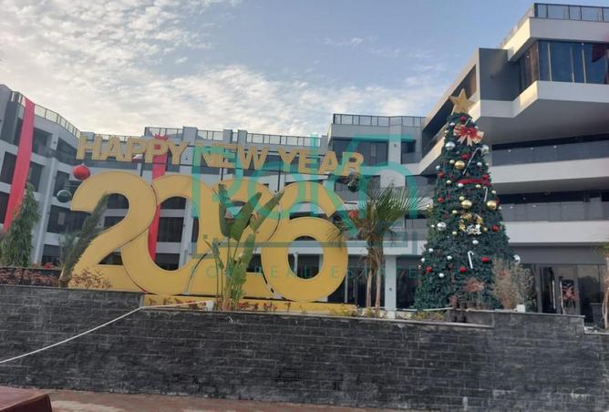 66700202 - صورة العقار 3