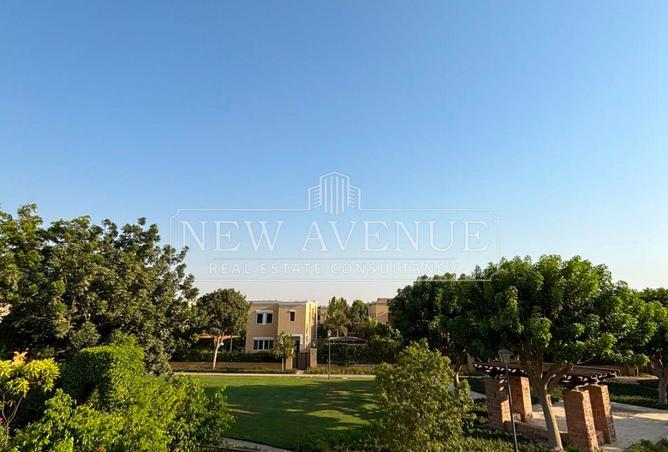 97991080 - صورة العقار 3
