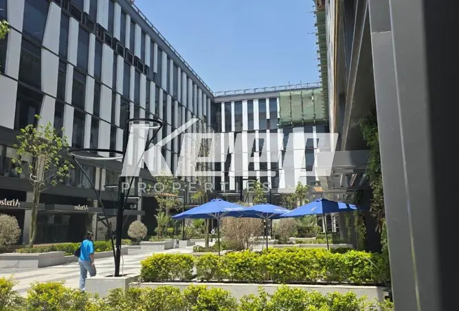111605653 - Property Image 2