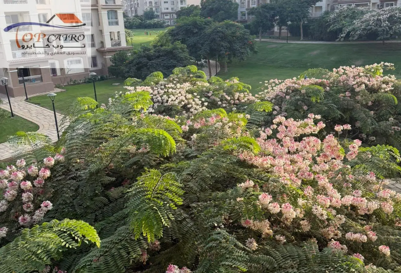 119266390 - الصورة الرئيسية للعقار