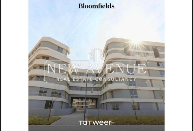 62892538 - Property Image 2