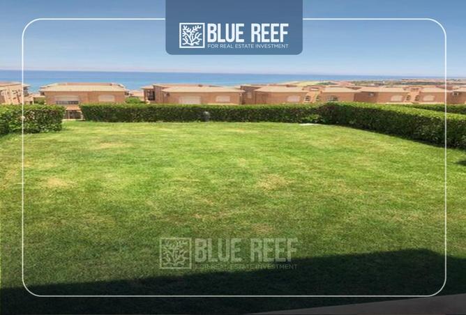 66952087 - Property Main Image